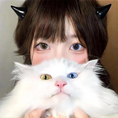 爱情决胜点